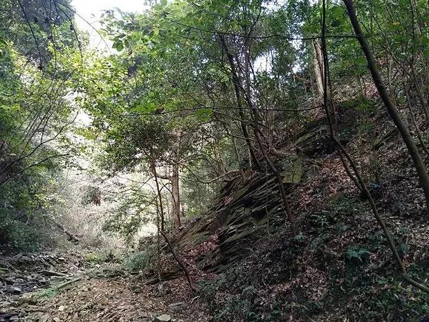 僵尸短跑