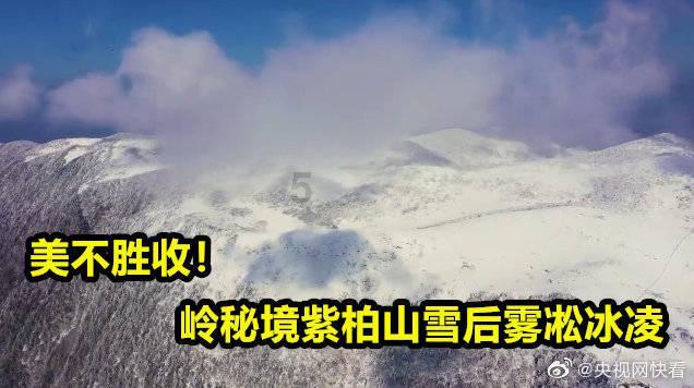 小怪运动会