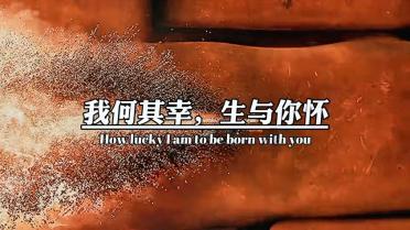 原始丛林找星星